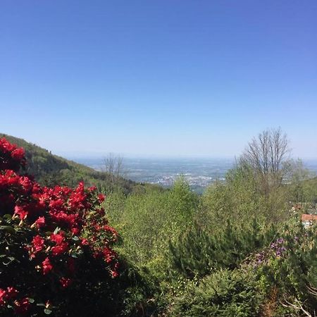 View From The Rock Διαμέρισμα Sasbachwalden Εξωτερικό φωτογραφία